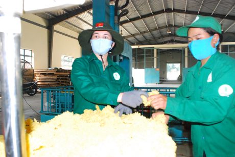 Đảm bảo hoạt động sản xuất kinh doanh liên tục, hiệu quả